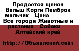 Продается щенок Вельш Корги Пемброк мальчик › Цена ­ 65 000 - Все города Животные и растения » Собаки   . Алтайский край